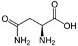 Skeletal formula of L-asparagine