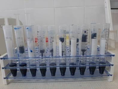 photo_2020-11-04_16-00-18