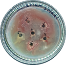 photo_2025-02-03_14-43-08(1)