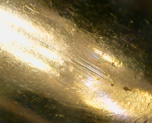 Изображение выглядит как золото, Янтарь, свет

Автоматически созданное описание