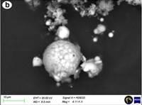 HDBSD images of representative morphology particles from GSCT spent ...