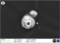 HDBSD images of representative morphology particles from GSCT spent ...