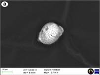 HDBSD images of representative morphology particles from GSCT spent ...