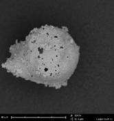 Forensic Microscopy | Thermo Fisher Scientific - KR