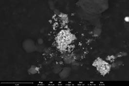 Automated SEM: The Future of Particle Analysis | Nanoscience Instruments