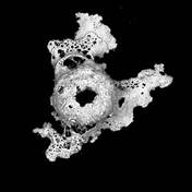 Изображение выглядит как искусство, черно-белый, монохромный

Содержимое, созданное искусственным интеллектом, может быть неверным.