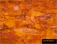 Deformation and Annealing of Cartridge Brass