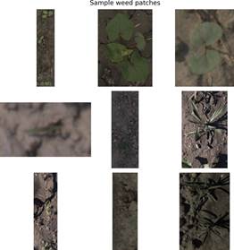 Изображение выглядит как снимок экрана, коллаж, растение, мозаика

Автоматически созданное описание