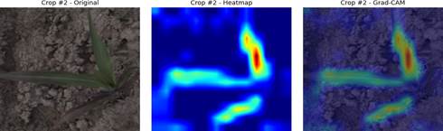 Изображение выглядит как снимок экрана, природа

Автоматически созданное описание