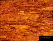 Deformation and Annealing of Cartridge Brass