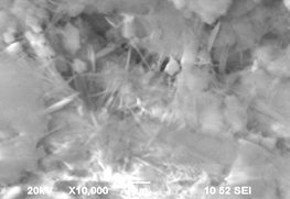 002 - 1sost 1sut - 8