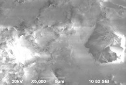 002 - 1sost 1sut - 16