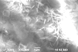 002 - 1sost 28sut - 20