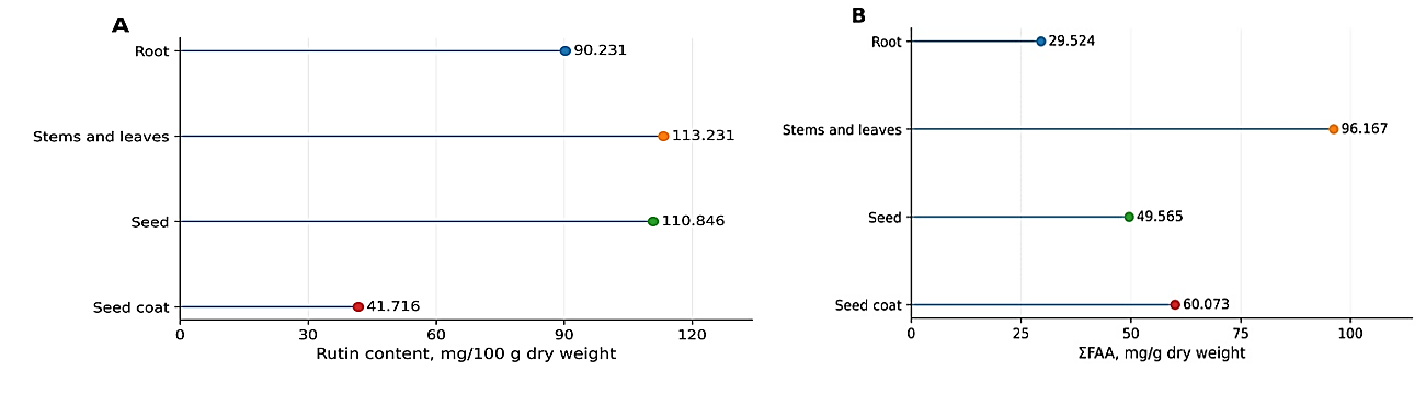 Figure 5. Organ-specific distribution of rutin and total quantified free amino acids (ΣFAA) in Astragalus campylorrhynchus: A — rutin content (mg/100 g dry weight); B — ΣFAA (mg/g dry weight)