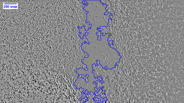 C:\Users\Сарвиноз\Desktop\20260612-144452-634-1 5mkM 48s.tif