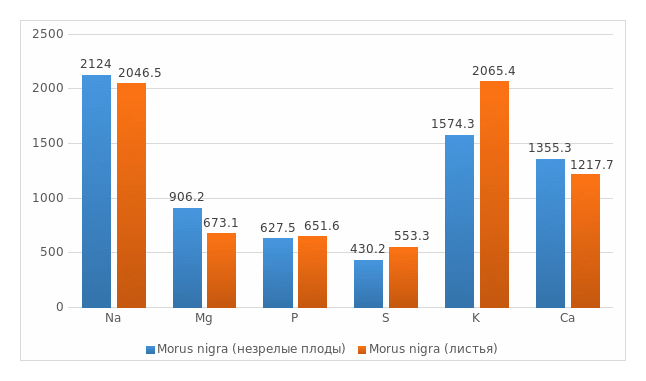 Рисунок 1. Содержание макроэлементов в Morus nigra L. (мг/кг)