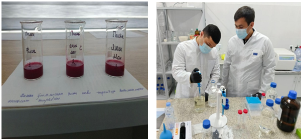 Figure 1. Biochemical analysis of raspberry fruits in the laborator