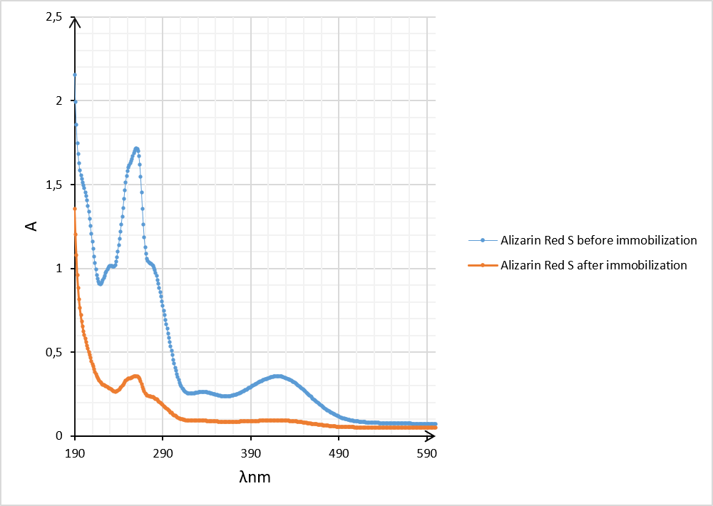 Figure 2. Presents the UV–Vis absorption spectra of the Alizarin Red S solution before (1) and after (2) immobilization