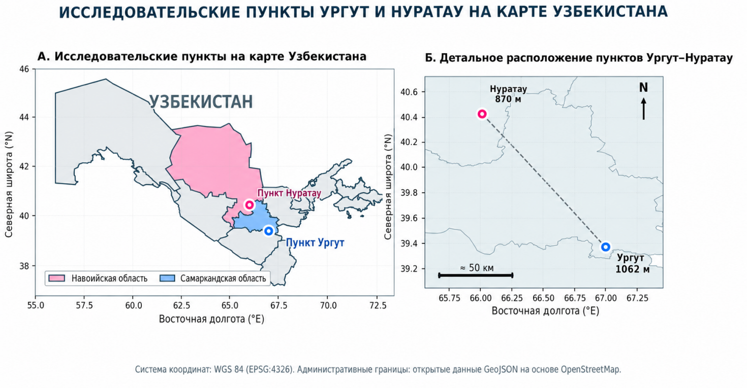 Рисунок 1. Пространственная привязка исследовательских пунктов: А — положение Ургута и Нуратау на карте Узбекистана; Б — детализированное взаимное расположение пунктов с указанием высоты. WGS 84 (EPSG:4326)