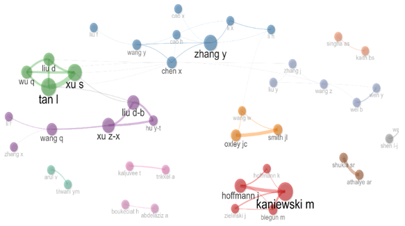 Figure 11. Author Collaboration Network