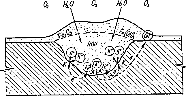 Figure 1.1. Diagram of the intra-ulcer corrosion process