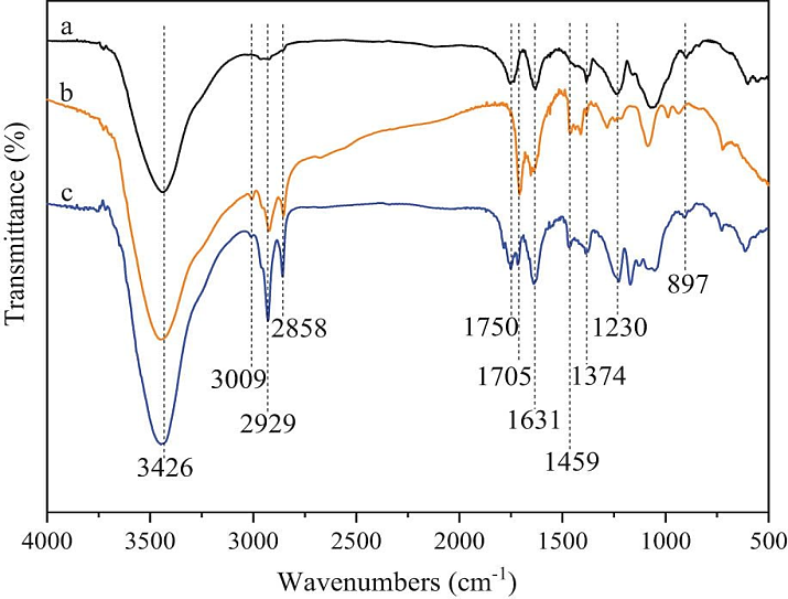 Figure 1. FTIR spectra of cellulose acetate-based composite materials filled with activated carbon, chitosan, TiO₂, and SiO₂