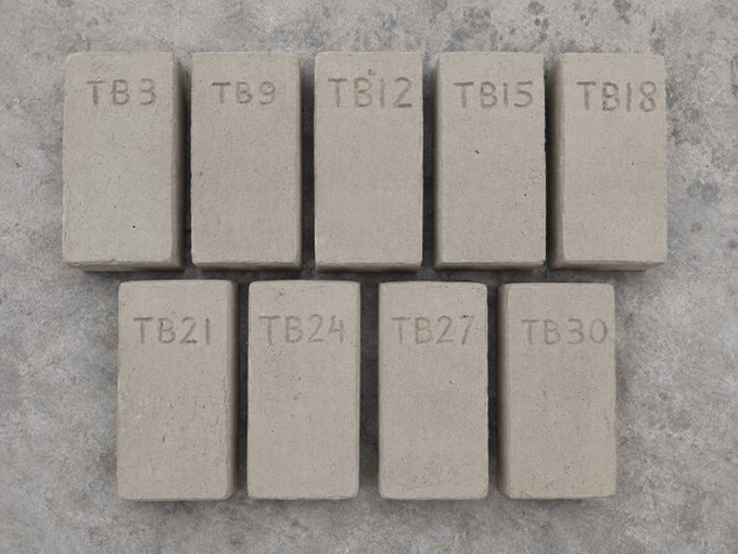 Figure 1. General appearance of bentonite-based brick specimens dried under natural conditions