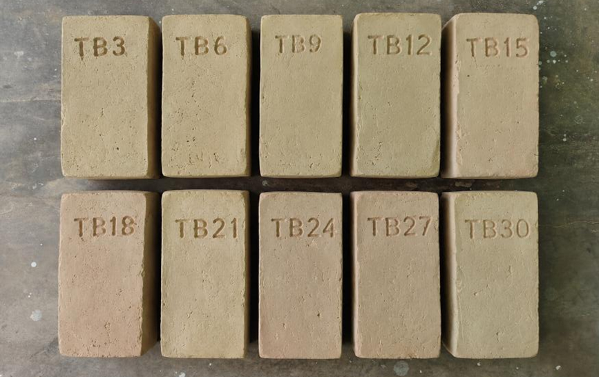 Figure 2. General appearance of the fired brick specimens